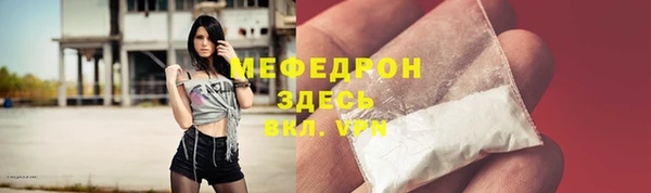 шишки Надым