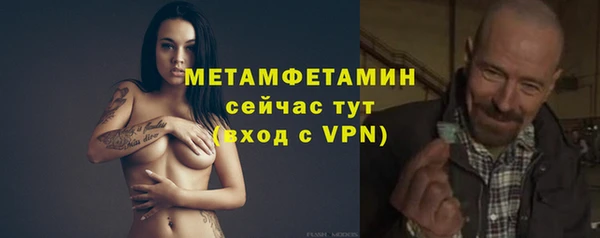 шишки Надым