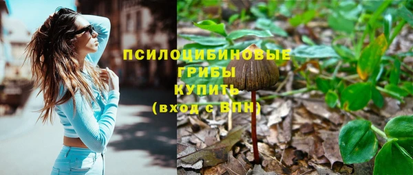 apvp Белокуриха