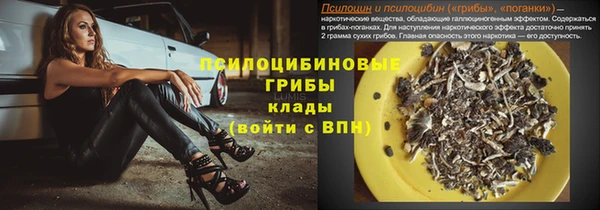 apvp Белокуриха