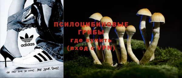 apvp Белокуриха