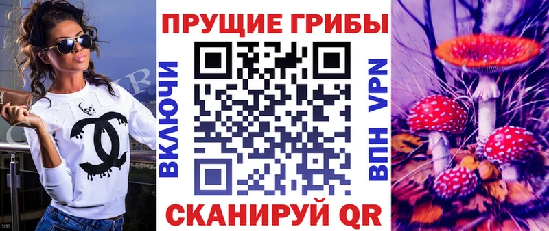 где купить наркоту  Тамбов  Галлюциногенные грибы ЛСД 